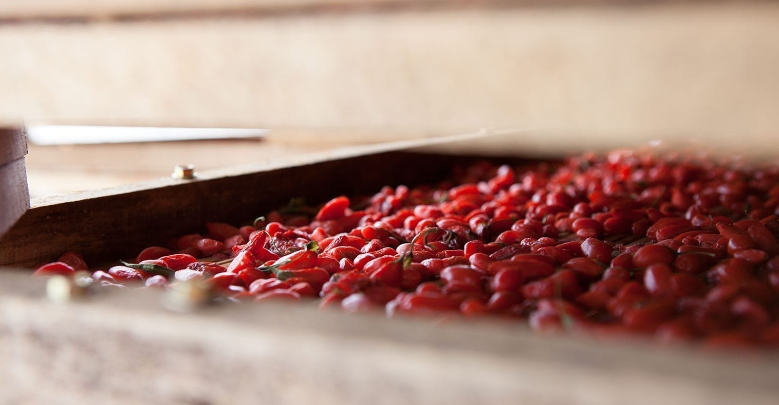 Goji Berry Ingredients: A Buyer's Guide for Food Manufacturers