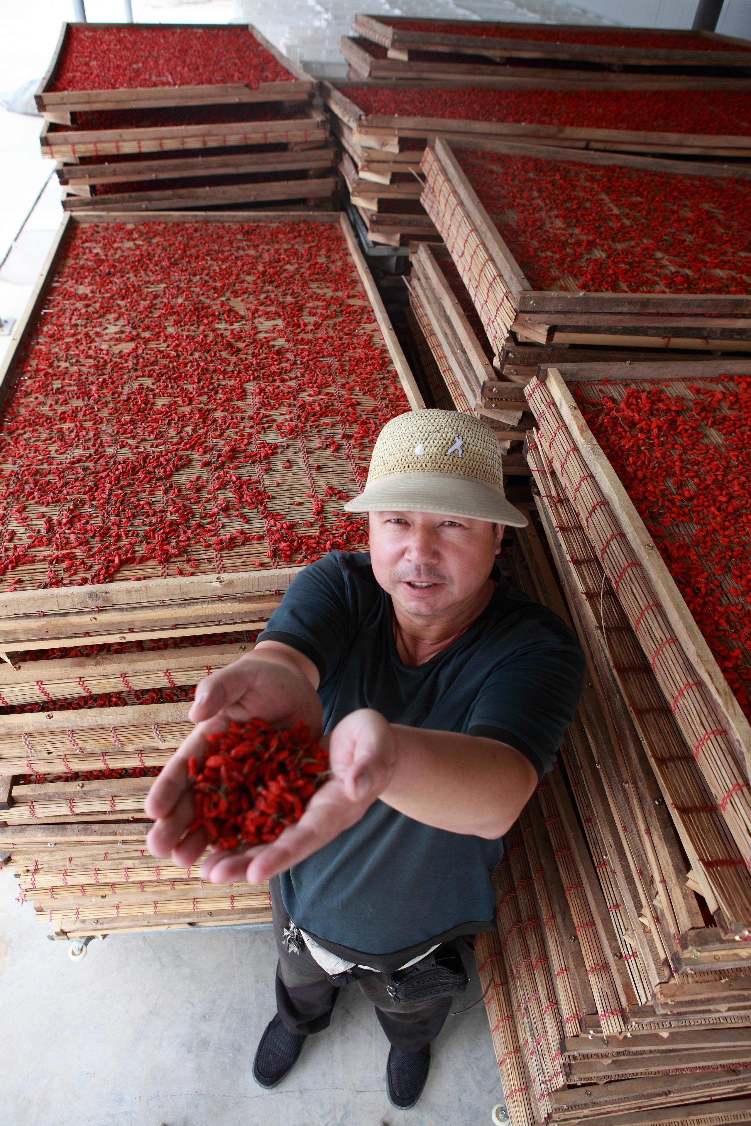 Dried Goji Berries