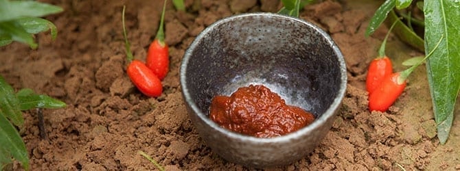 Goji Paste